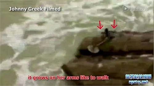 美人魚真的存在嗎？真相告訴你世界上有沒有美人魚