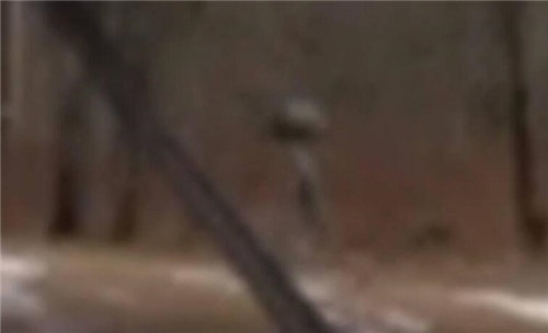 外星人在羅馬尼亞登上飛船的視頻是假的，惡作劇一場