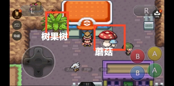 去吧洛奇亞漢化版截圖1