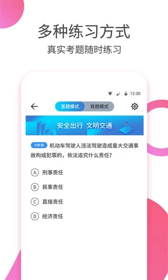 駕考大師截圖2