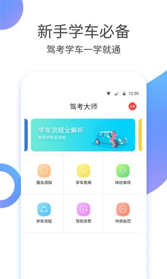 駕考大師截圖4