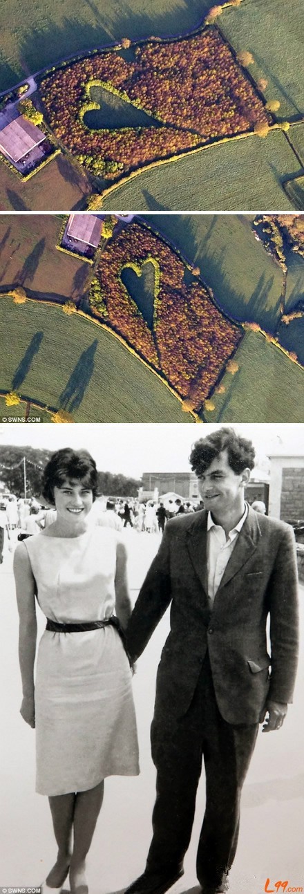 谷歌衛(wèi)星地圖下令人震撼窒息的奇趣畫(huà)面