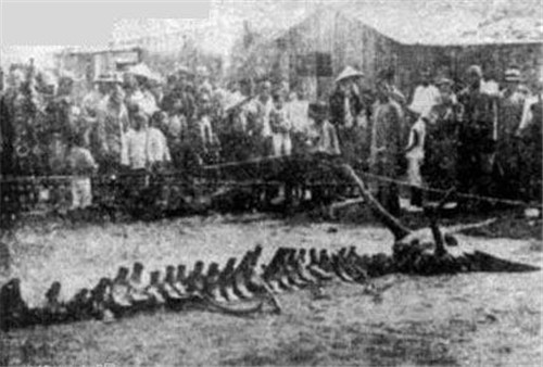 營(yíng)口墜龍事件是真的嗎 揭開1934年?duì)I口墜龍事件真相