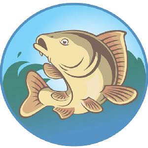 金魚TV