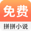 拼拼小說