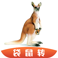 袋鼠轉(zhuǎn)
