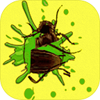 拍打蟲(chóng)子