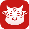 喜牛速賺app