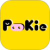 Pookie撲奇潮玩盲盒