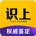識上鑒定官方版