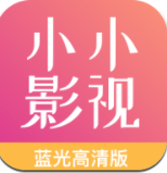 小小影視大全正版