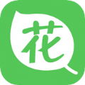 八次方養(yǎng)花