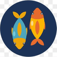 金魚影視app