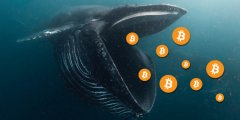 比特幣富豪榜排名104~115地址疑同一巨鯨 5/14抄底超8000枚BTC