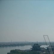 人工養(yǎng)殖的蛆能吃嗎 糞坑里的蛆蟲可以吃嗎