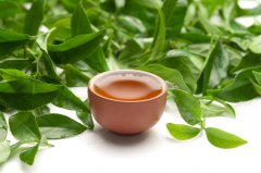 白茶產(chǎn)地是哪里最好 中國最好最有名的白茶產(chǎn)地