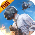 PUBG天白直裝V2