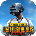 PUBG輔助直裝版