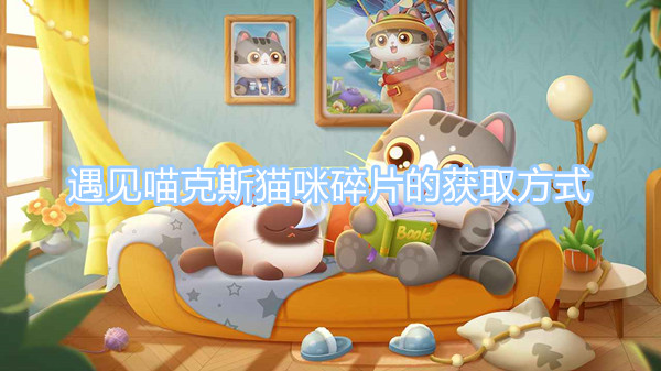 遇見喵克斯貓咪碎片怎么獲得？ 遇見喵克斯貓咪碎片的獲取方式