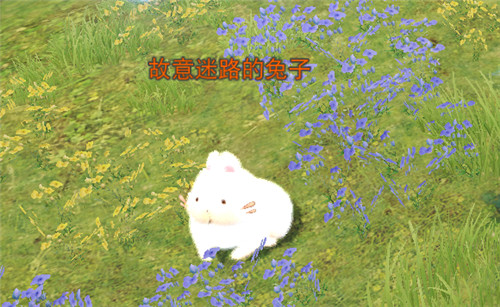 《天下》手游靈蘊(yùn)符咒玩法助神符問世，秋日活動(dòng)開新章，海量軍資及眾多好禮等你來拿~