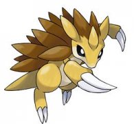 寶可夢大探險穿山王賓果哪個好?穿山王養(yǎng)成方法