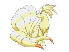 寶可夢大探險九尾賓果選什么?九尾養(yǎng)成方法