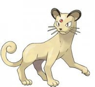 寶可夢大探險貓老大賓果選什么?貓老大養(yǎng)成方法