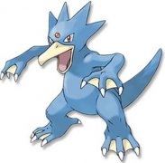 寶可夢大探險哥達鴨選什么技能厲害?哥達鴨養(yǎng)成方法