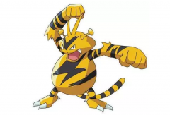 寶可夢(mèng)大探險(xiǎn)電擊獸選什么技能好?電擊獸養(yǎng)成方法