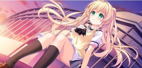 夏日口袋漢化手機版截圖3