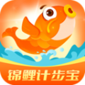 錦鯉計(jì)步寶app