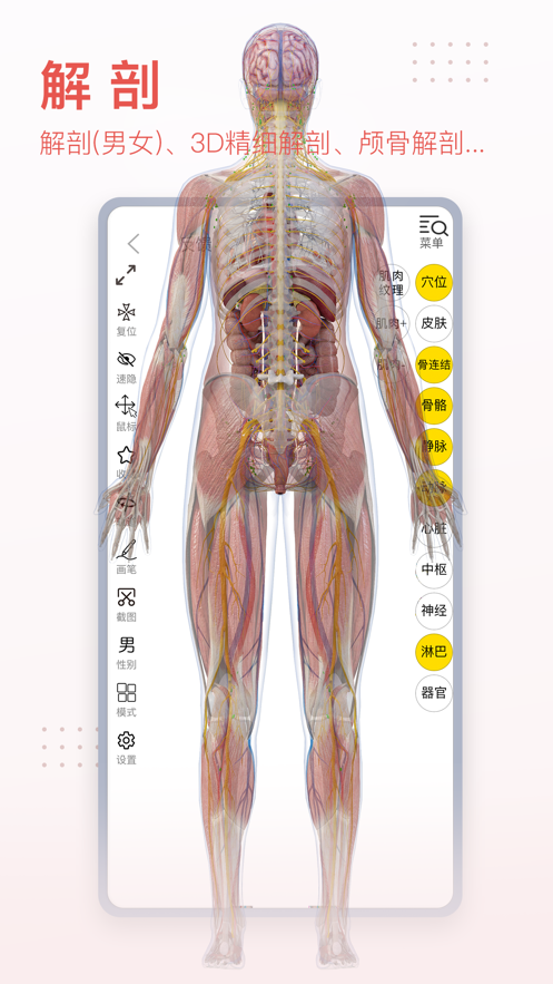 3Dbody解剖學(xué)app截圖1