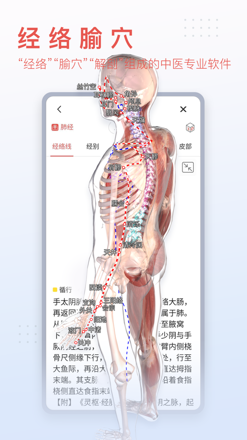 3Dbody解剖學(xué)app官方最新版圖片1