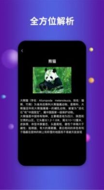 Earth地球app截圖3