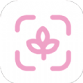 最美主題壁紙app