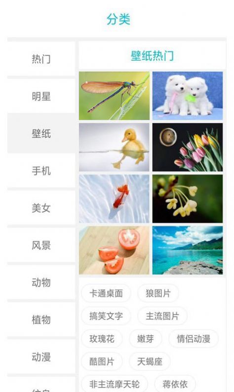 搜圖界app截圖3