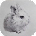 素描繪畫(huà)技巧app