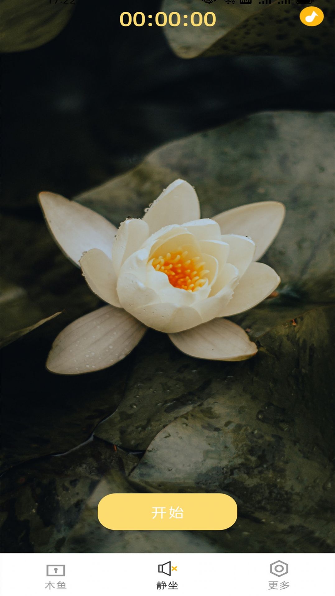 電子木魚凈心助手app截圖2