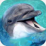 海洋動物模擬器