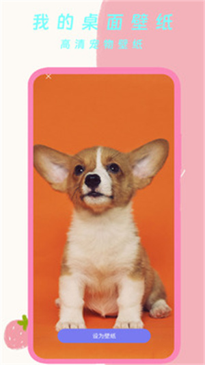 我的桌面壁紙截圖2