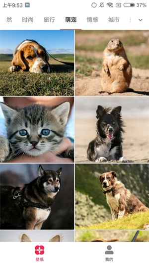 丟人透明壁紙APP最新版截圖1