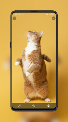 紙?zhí)帘诩埥貓D1