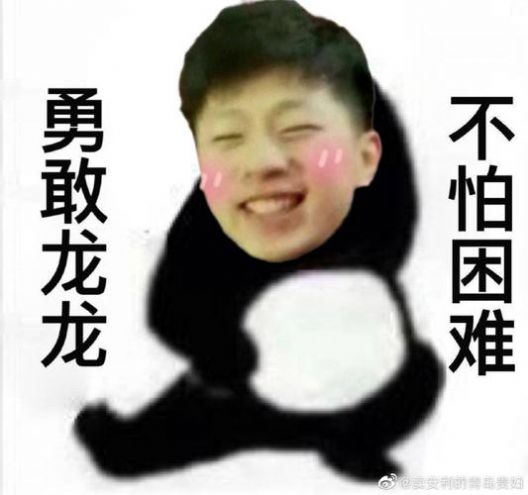 可愛龍龍不怕困難表情包