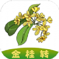 金桂轉(zhuǎn)app