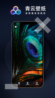 青云壁紙app截圖3