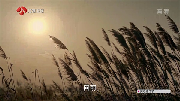 豆子直播TV截圖1