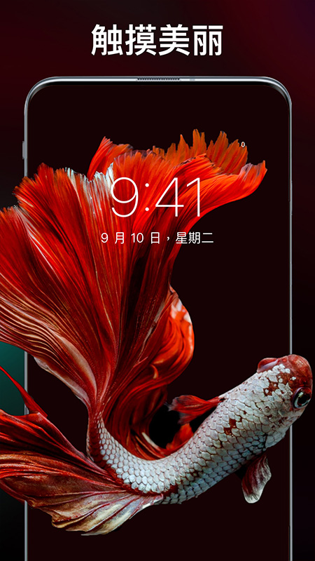 新潮動(dòng)態(tài)壁紙app截圖2