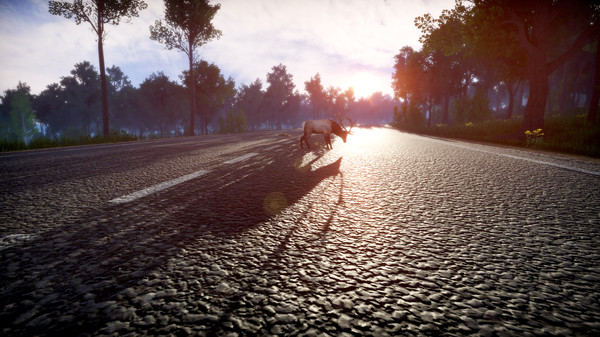 疾如閃電(Lightning Fast)截圖4