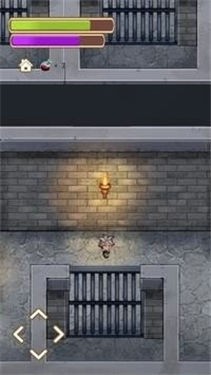 獨(dú)自升級(jí)的人游戲最新版截圖2