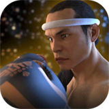 跆拳道對決泰拳游戲最新版